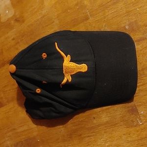 Texas Longhorns cap
